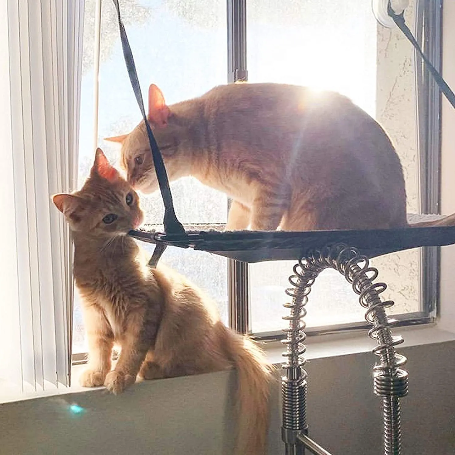 Cat Window Perch - Double Stack EZ Window Mount - K&H Pet Products