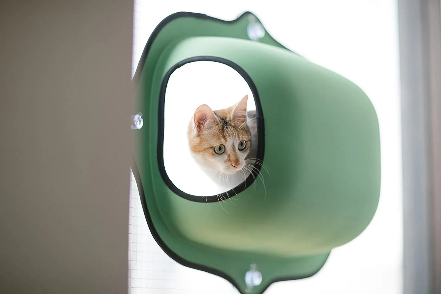 Cat Window Pod - K&H Pet Products EZ Mount