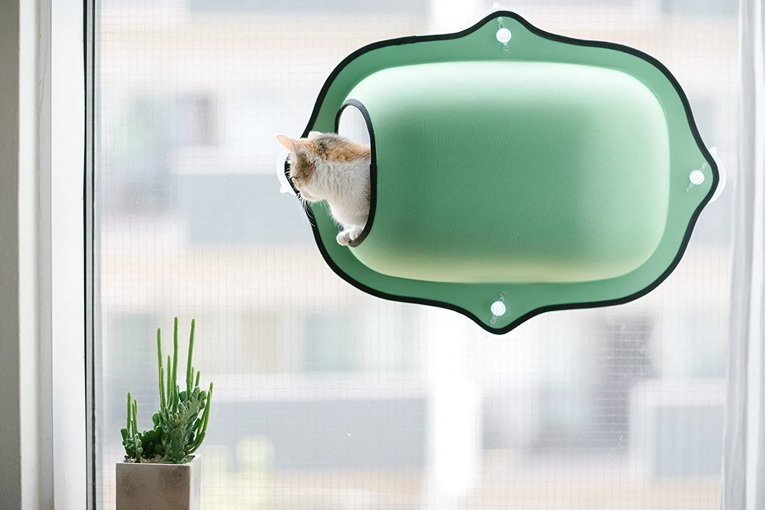 Cat Window Pod - K&H Pet Products EZ Mount