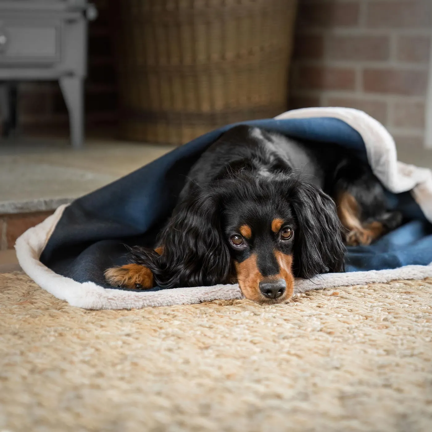 Essentials Twill Blanket in Denim by Lords & Labradors